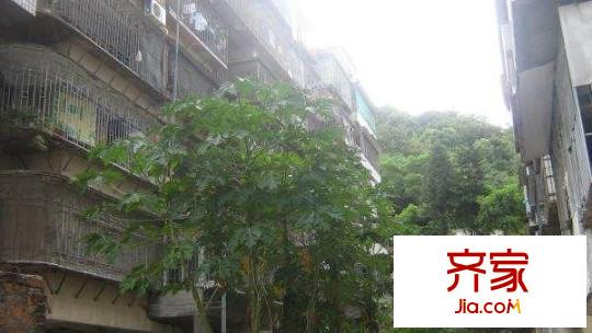 桂山新村外景圖 