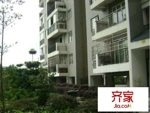 隆華蘋果園外景圖 