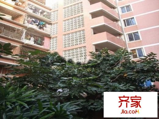 新南方花園外景圖 