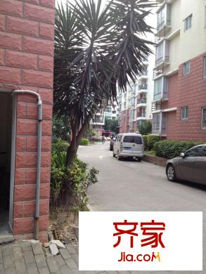 世紀(jì)金輝外景圖一期 