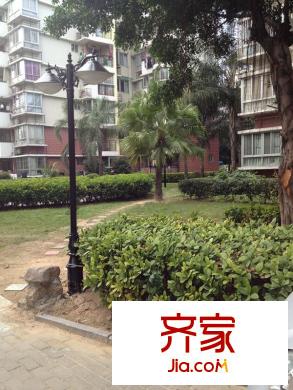 世紀(jì)金輝外景圖一期 