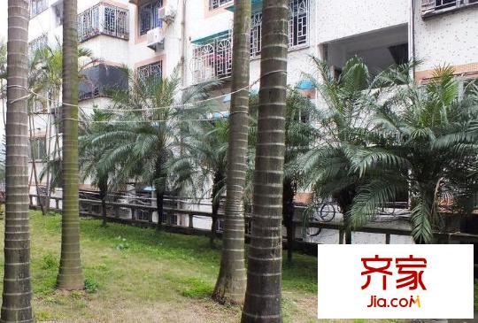 和輝花園外景圖 