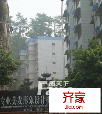 國稅宿舍外景圖 