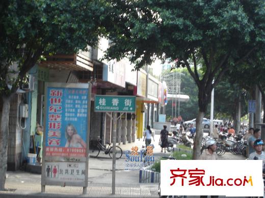 香樟林城市花園二期配套圖桂香街