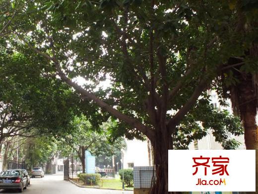 天賜良園外景圖 