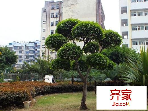 東光花園外景圖 