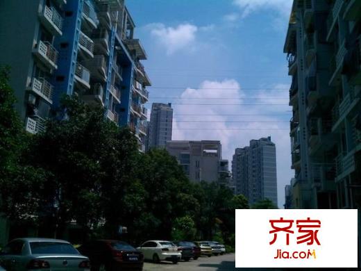 濱江麗景二期臨江園外景圖 