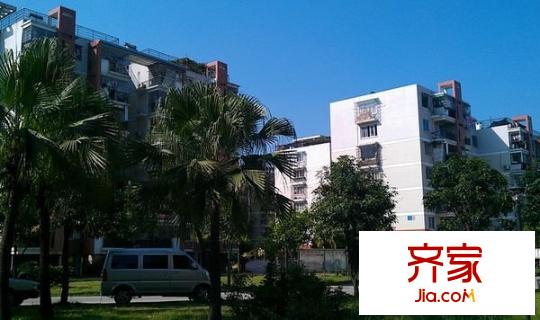金亭小區(qū)外景圖 