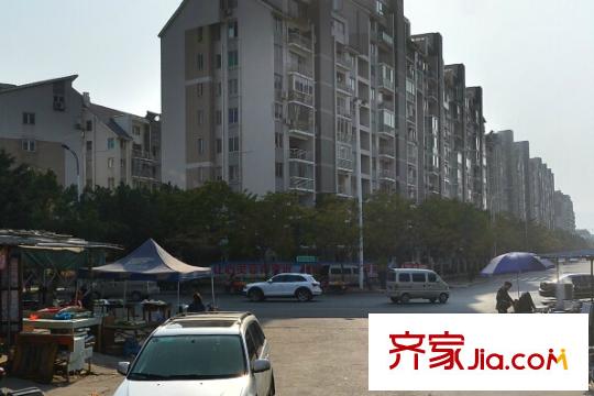 金亭小區(qū)配套圖周邊配套 街道