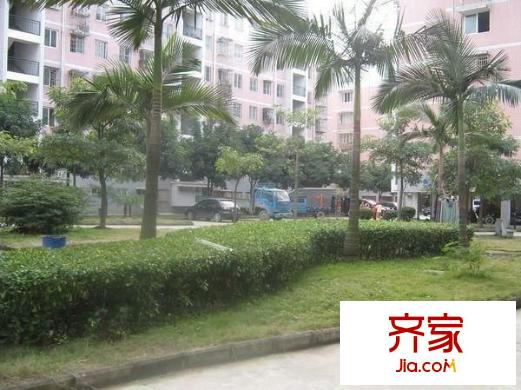 金霞小區(qū)外景圖 
