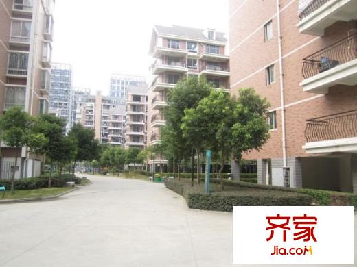金霞小區(qū)外景圖 