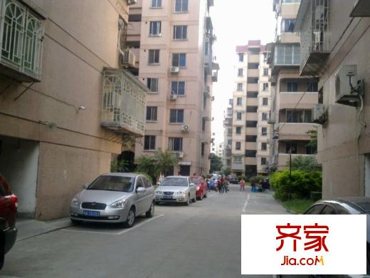茶會東區(qū)外景圖 