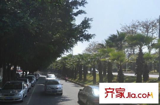 碧水芳洲水云天配套圖周邊配套 街道