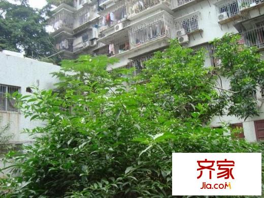 龍腰新村外景圖 