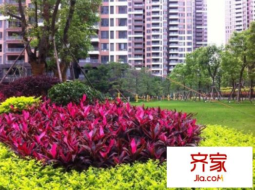 皇庭美域外景圖 