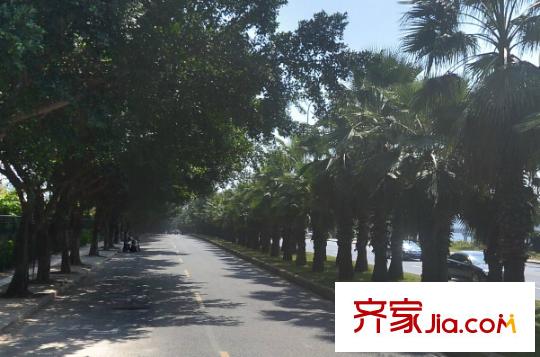 融僑錦江G區(qū)華府配套圖周邊配套 街道