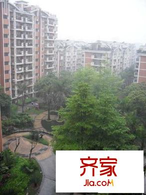 九龍城外景圖 