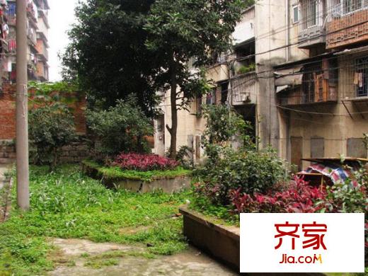 光榮新村外景圖 