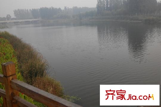 紫盈花園周邊水景