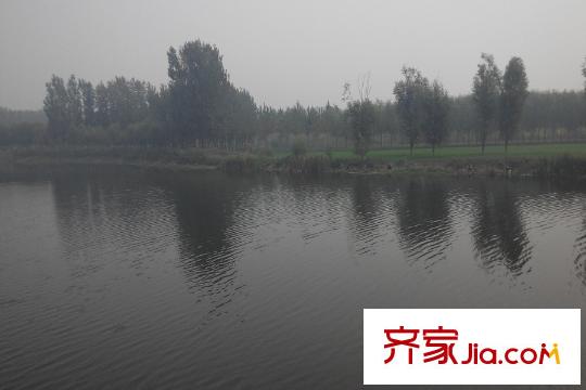 紫盈花園周邊水景