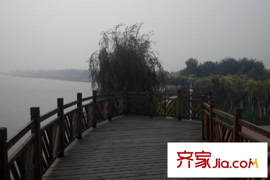 紫盈花園周邊水景