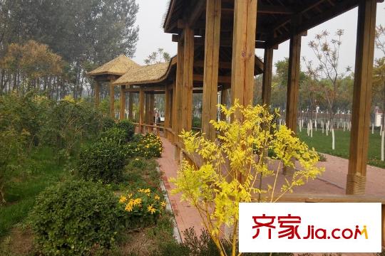 紫盈花園周邊景觀