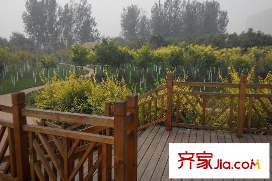 紫盈花園周邊景觀