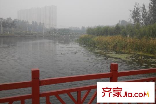 紫盈花園周邊景觀