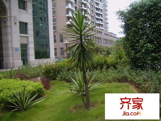 錦繡溫泉外景圖 