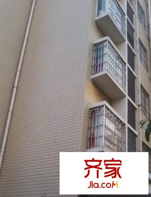 園中新苑