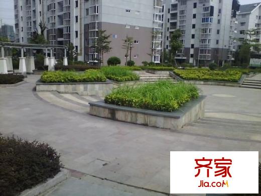西莊小區(qū)外景圖 