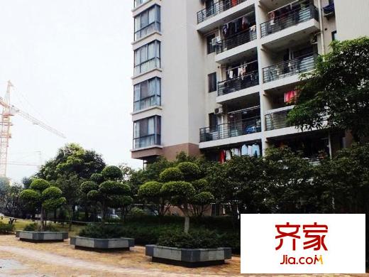 融僑錦江D區(qū)外景圖 