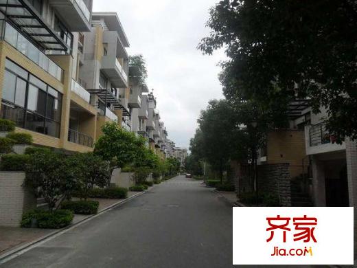 中天桂湖云庭外景圖 