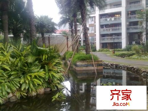 美倫浩洋麗都B區(qū)外景圖美倫浩洋麗都 