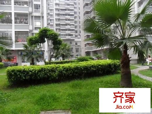 嘉興小區(qū)外景圖 