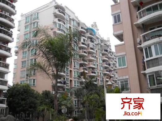金山明星外景圖 