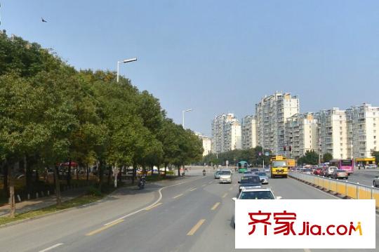 金山明星配套圖周邊配套 街道