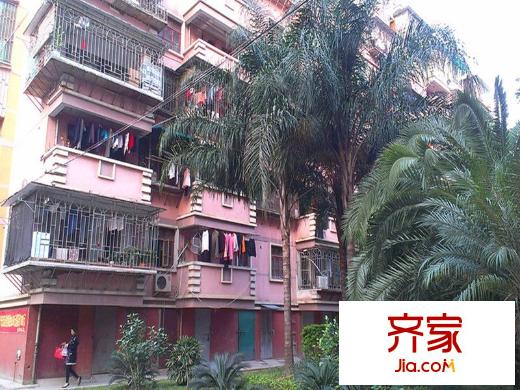 金浦小區(qū)外景圖 