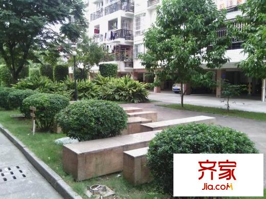 金山碧水二期龍鳳苑外景圖 