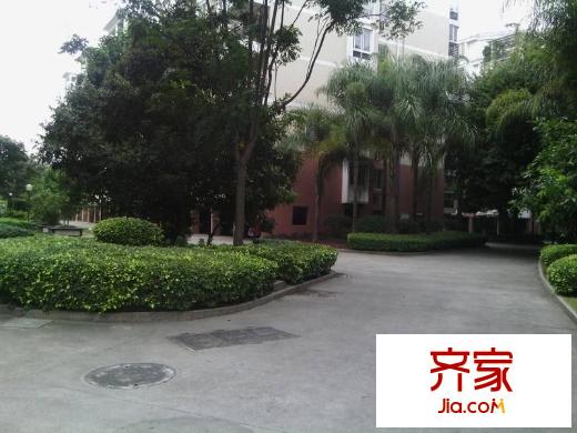 金山碧水二期龍鳳苑外景圖 
