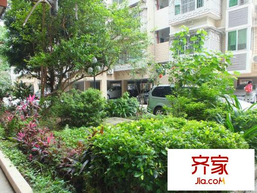 九彩華庭外景圖 