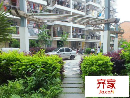 九彩華庭外景圖 