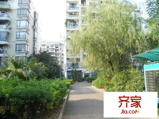 香江明珠