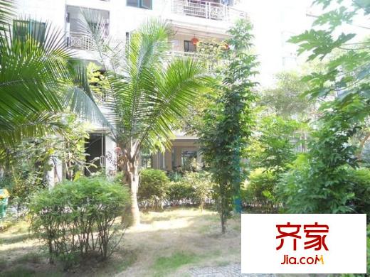 香江明珠外景圖 