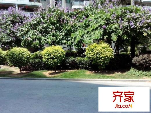 水岸華庭外景圖 