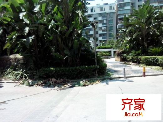 水岸華庭外景圖 