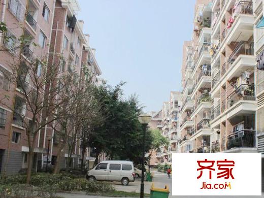 金山桔園二期嘉園外景圖 