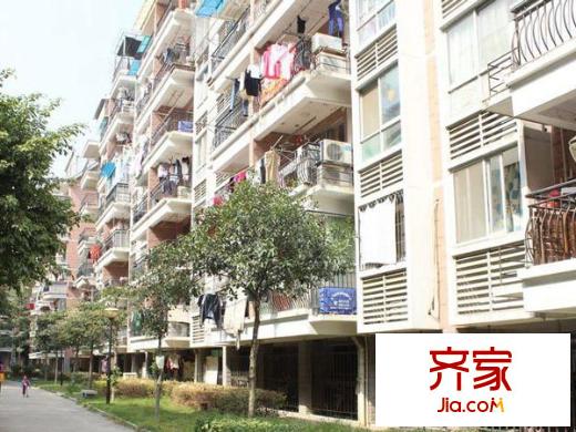 金山桔園二期嘉園外景圖 