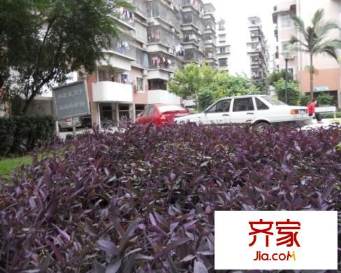 華慶花園外景圖 