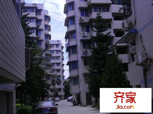 鴻城小區(qū)外景圖 